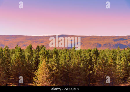 Bleu pastel, rose et orange ciel au-dessus de la forêt verte avec les montagnes au loin. Banque D'Images