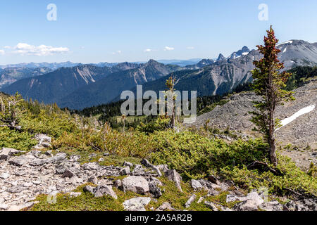 Parc national de Mt. Rainier Banque D'Images