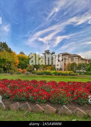 Le Jardin Cismigiu Parcul Cismigiu () est l'un des plus grands et plus beaux parcs publics à Bucarest. Banque D'Images