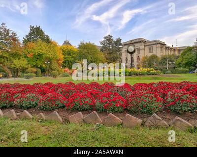 Le Jardin Cismigiu Parcul Cismigiu () est l'un des plus grands et plus beaux parcs publics à Bucarest. Banque D'Images