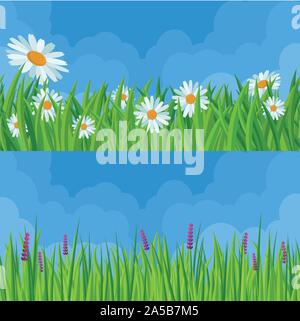 L'herbe de printemps et de fleurs. Illustration de Vecteur
