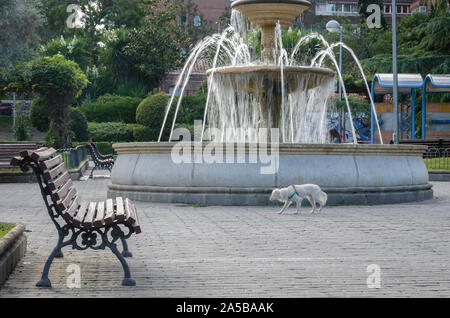 Madrid, Espagne, 22 septembre 2019. Vue d'une fontaine dans un parc clos de Chamberi trimestre, la ville de Madrid, Espagne. Credit : Enrique Davó Banque D'Images