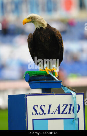 Olimpia ( Lazio ) lors de SS Lazio vs Atalanta, Roma, Italie, 19 octobre 2019 soccer, football italien Serie A Championnat Hommes Banque D'Images