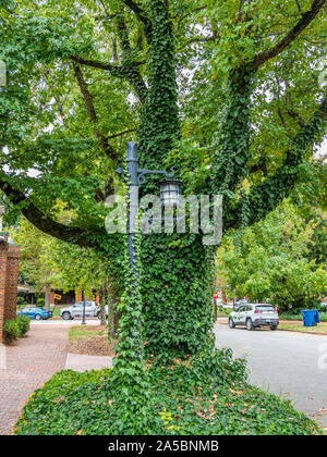 Biltmore Village de Asheville en Caroline du Nord, États-Unis Banque D'Images