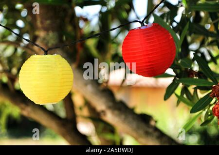 Lanternes rondes de couleur accrochée à un arbre dans le jardin Banque D'Images