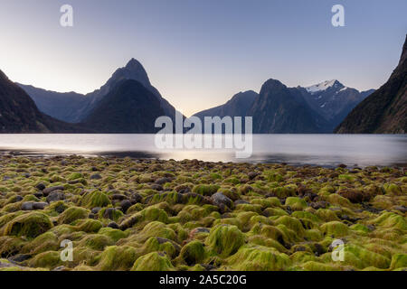 Mitre Peak, Milford Sound, Nouvelle Zélande au coucher du soleil / Crépuscule avec cailloux couverts Banque D'Images