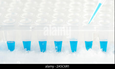 Le tube en plastique, pointe de pipette rempli de mélange réactif bleu en plastique jetables et puits. Les outils professionnels pour amplifier l'ADN pour l'analyse génétique. P Banque D'Images