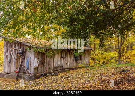 Voir la scène colorée de l'automne à la ferme en Patagonie, Argentine Banque D'Images