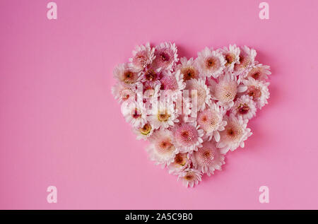 Cœur fait de petits chrysanthèmes blancs sur fond rose. Télévision lay et haut voir photo Banque D'Images