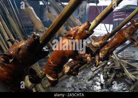 Porc rôti se reposant après une période de cuisson 3-4hr à l'intérieur d'une maison de torréfaction à Talisay City Cebu.Connu sous le nom de 'Lechon baboy' aux Philippines, a été une fois reconnu comme 'le meilleur jamais de porc' par le célèbre chef,malheureusement décédé,Anthony Bourdain. Comme le plat national des Philippines Lechon baboy '' est l'un des préférés des expatriés tout au long de l'année mais surtout durant les événements spéciaux comme les anniversaires,Fêtes et temps de Noël où littéralement des centaines de milliers de porcs seront grillées. La province de Cebu est considéré comme ayant le meilleur Lechon aux Philippines. Pourvoyeurs de hav Lechon Banque D'Images