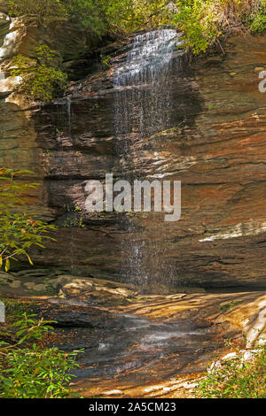 Serene Cove Moore tombe dans une forêt ombragée à Pisgah National Forest Glen en Caroline du Nord Banque D'Images