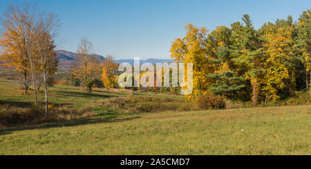 Belle couleur de feuillage de l'automne en forêt en Nouvelle Angleterre, USA Banque D'Images