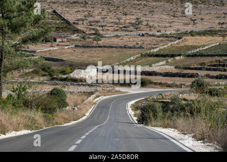 Bobinage vide chemin rural dans le nord du Portugal, Europe Banque D'Images