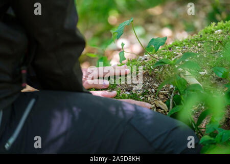 Close up of a person's hand touching un tronc d'arbre au cours d'une séance de bain forêt Banque D'Images