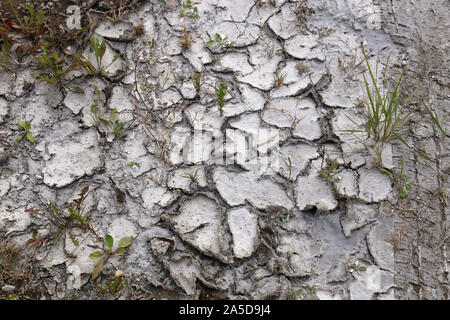 Sol sec fissuré avec fissures de dessiccation et marques de pneus. Banque D'Images