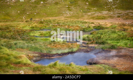 La région des sources chaudes de Reykjadalur en Islande Banque D'Images