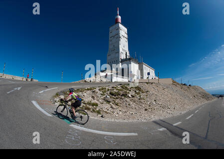 Femelle adulte sur cycliste dernier virage de grimper au sommet du Mont Ventoux, Provence, France. Banque D'Images