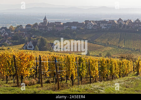 Zellenberg, un village alsacien entouré par les vignobles Banque D'Images