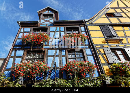 RIQUEWIHR, FRANCE, 13 Octobre 2019 : maison ancienne à colombages. Attraction touristique populaire pour son architecture historique, Riquewihr est aussi connu pour Banque D'Images