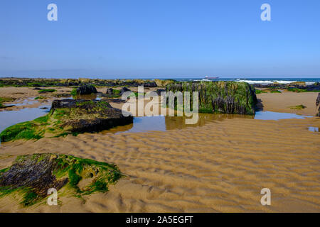 Tynemouth Long Sands sur la côte nord-est de l'Angleterre en photo sur une chaude journée d'été. C'est une plage très populaire tout au long de l'année. Banque D'Images