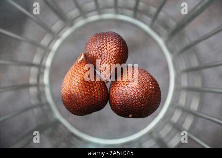 Schlangenhautfrucht Salak-Frucht droits oder der Salakpalme (Salacca zalacca)Manado, Sulawesi, Indonesia Banque D'Images