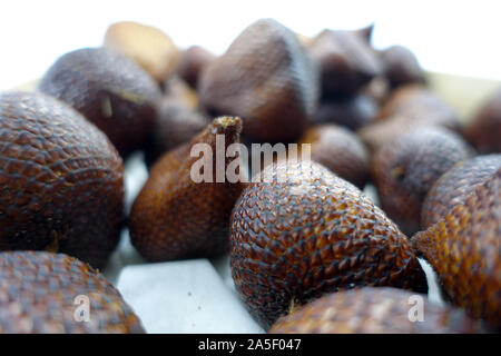 Schlangenhautfrucht Salak-Frucht droits oder der Salakpalme (Salacca zalacca)Manado, Sulawesi, Indonesia Banque D'Images