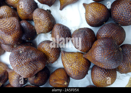 Schlangenhautfrucht Salak-Frucht droits oder der Salakpalme (Salacca zalacca)Manado, Sulawesi, Indonesia Banque D'Images