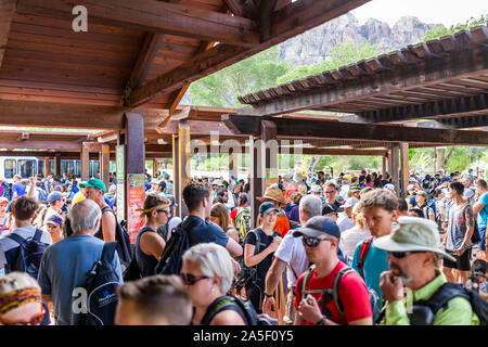 Springdale, USA - 6 août 2019 : Zion National Park à l'arrêt de bus navette centre de visiteurs en été avec foule d'un grand nombre de personnes en attente dans la file d'attente en ligne Banque D'Images