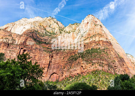 Low angle view of red orange Zion National Park cliffs paysage désertique au cours de journée d'été avec de grandes formations de roche haute et plantes vertes Banque D'Images