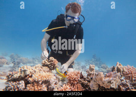 <1 l'homme est sous l'eau de mer. L'eau de vie, voyage d'aventure en plein air sport concept. Banque D'Images