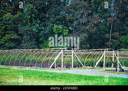 Système d'irrigation mis en place dans les terres agricoles à l'eau pour les plantes et les cultures de pépinières Banque D'Images
