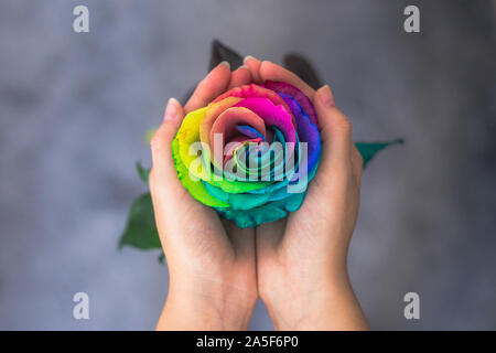 Femme tenant les mains comme avec coeur rose arc-en-ciel à l'intérieur. Carte postale de la Saint-Valentin. Journée des femmes. Le jour de Saint Valetine. Rainbow rose symbolisent l'amour et Banque D'Images