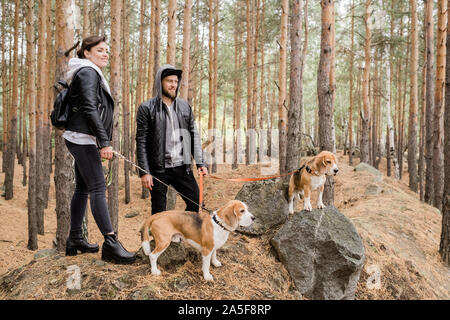 Happy young couple hétérosexuel dans casualwear laisses holding de deux chiots beagle mignon ensemble dans le froid tout en forestg Banque D'Images