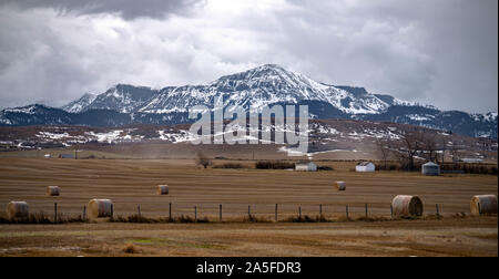 Les champs agricoles des prairies de montagnes enneigées et en Alberta. Banque D'Images