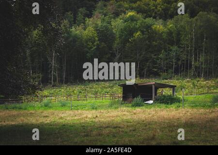 Un paysage portrait d'un hangar au milieu de la prairie dans une forêt. Les bois à l'arrière créent une très belle grange. Banque D'Images