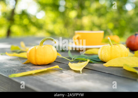 Tasse de café sur une table de jardin avec la citrouille et la feuille d'automne décorations Banque D'Images