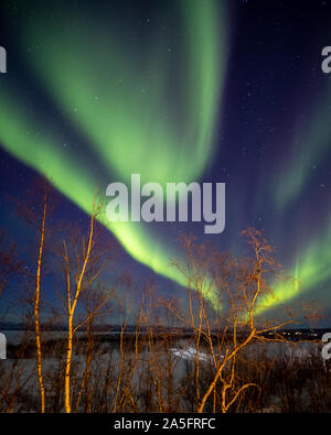 Northern Lights au paysage rural, Abisko National Park, en Laponie suédoise, Kiruna, Suède Banque D'Images