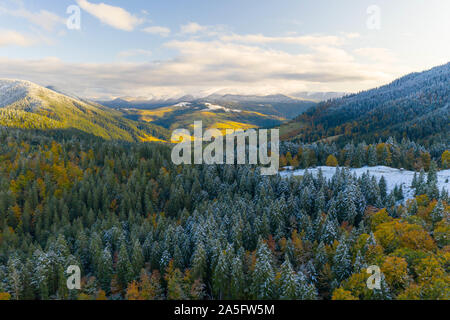 Antenne : Vol au dessus d'automne brumeux les forêts colorées. Banque D'Images