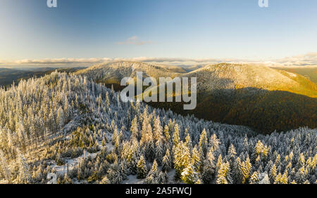 Antenne : Vol au dessus d'automne brumeux les forêts colorées. Banque D'Images