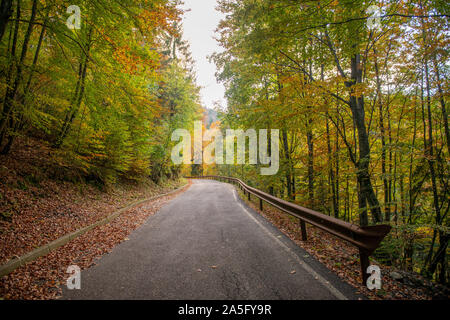 Virage de route de montagne dans la forêt en automne Banque D'Images