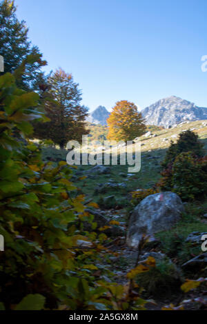 Vallée ensoleillée au parc national des Abruzzes en Italie, l'automne Banque D'Images