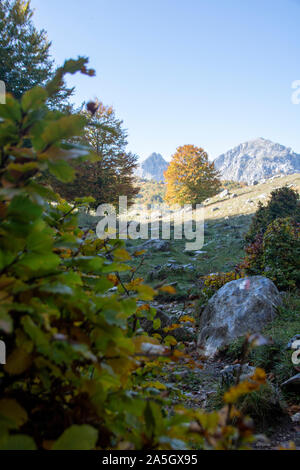 Vallée ensoleillée au parc national des Abruzzes en Italie, l'automne Banque D'Images