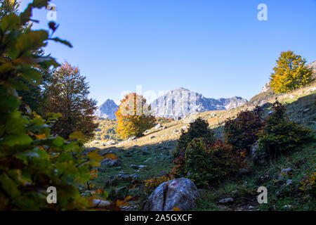 Vallée ensoleillée au parc national des Abruzzes en Italie, l'automne Banque D'Images