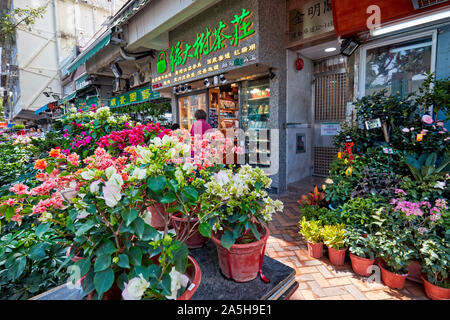 Plantes en pot en vente au marché aux fleurs Road. Kowloon, Hong Kong, Chine. Banque D'Images