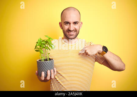 Jeune homme tenant le basilic plat terrain isolé sur fond jaune avec surprise face à face à lui-même Banque D'Images