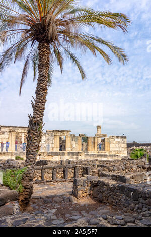 Vue des ruines de synagogue de Capharnaüm, Galilée, Israël, où la pratique de jésus l'Évangile Banque D'Images