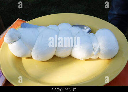 Campania, Italie. Un ensemble de faits Mozzarella di Bufala Campana (fromage à pâte molle à base de lait de bufflonne), directement de la ferme Banque D'Images