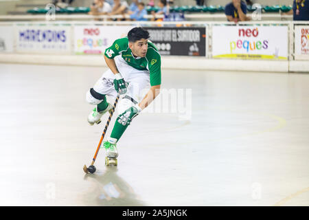 Joueurs de hockey des rouleaux en action Banque D'Images