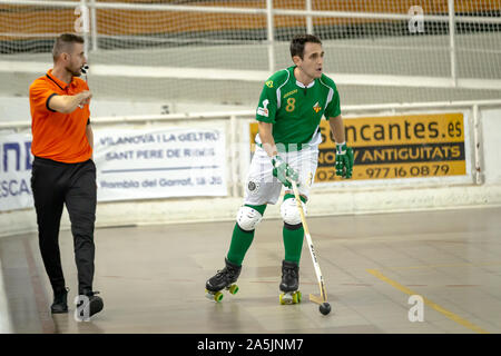 Joueurs de hockey des rouleaux en action Banque D'Images