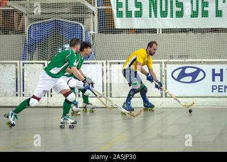 Joueurs de hockey des rouleaux en action Banque D'Images